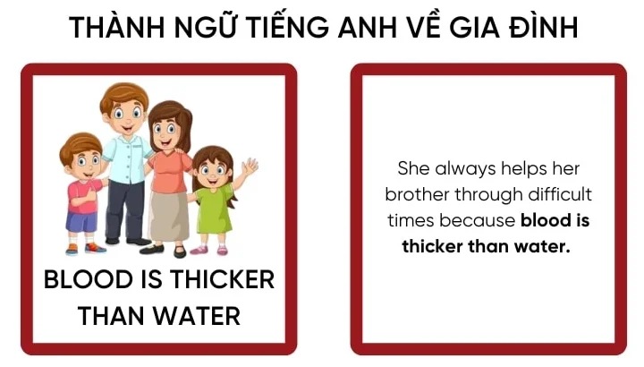 Tin Tức