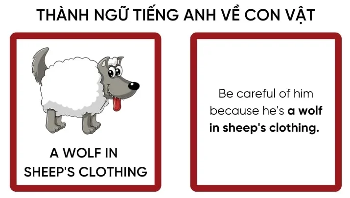 Tin Tức