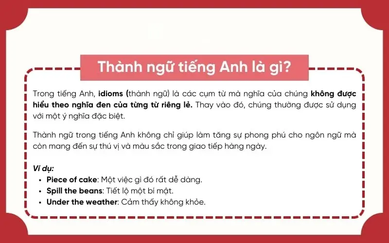 Tin Tức