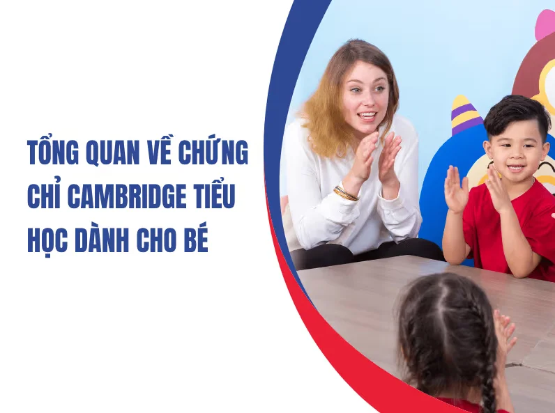 Tin Tức