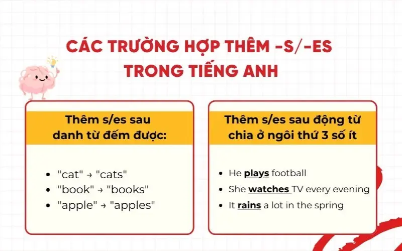 Tin Tức